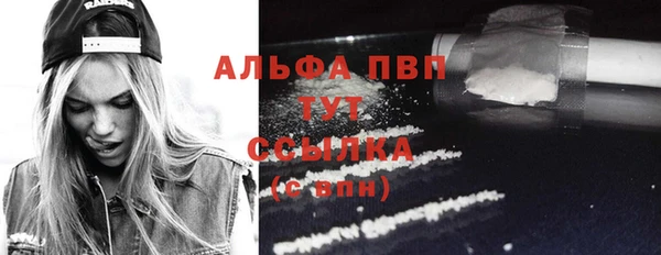 прущие крисы Белокуриха