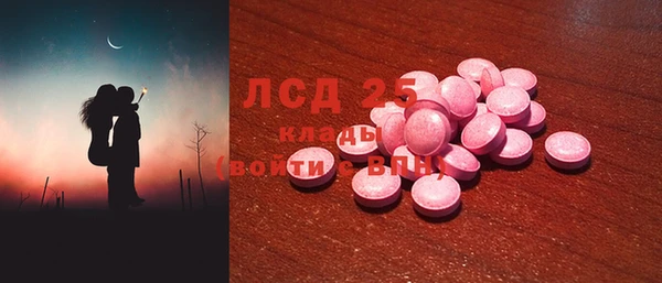 стаф Осинники